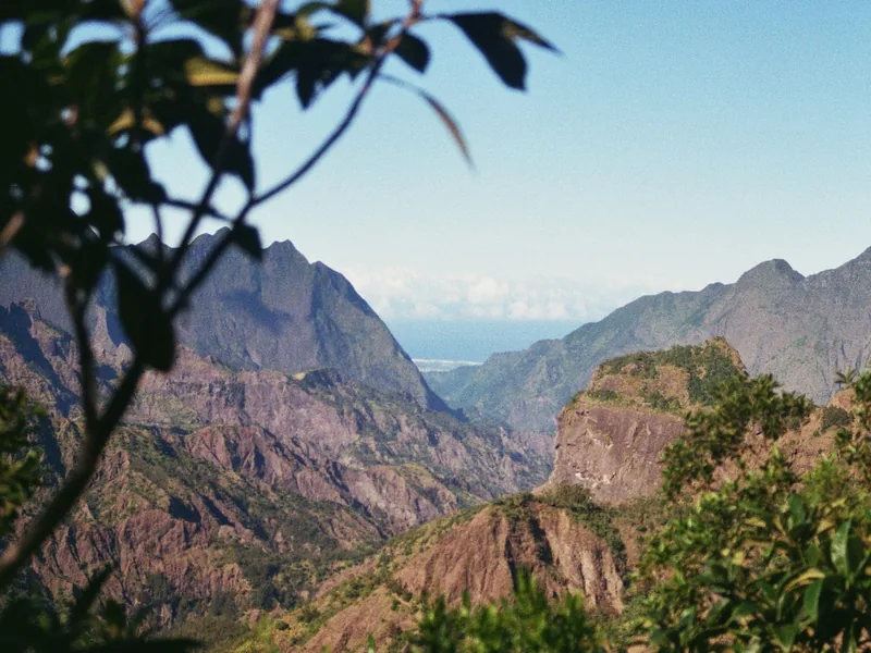 Gestion locative courte et moyenne durée à La Réunion